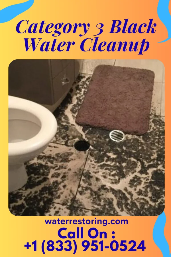 Category 3 Black Water Cleanup in Kenly, NC