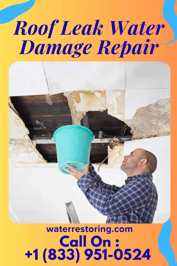 Roof Leak Water Damage Repair in Kenly, NC